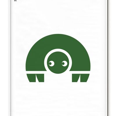 Póster Animal Tortuga - 50x70 cm