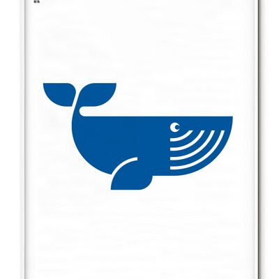 Poster Animale Balena - 50x70 cm