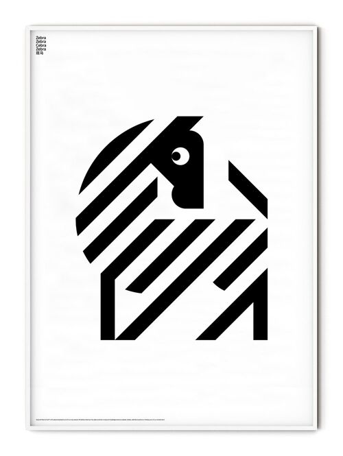 Animal Zebra Poster - 50x70 cm