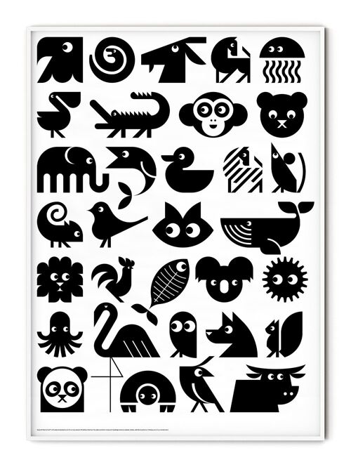 Animal Overview Poster - 30x40 cm