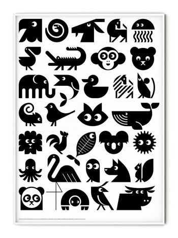 Affiche de présentation des animaux - 30x40 cm