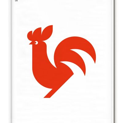 Affiche Coq Animal - 30x40 cm