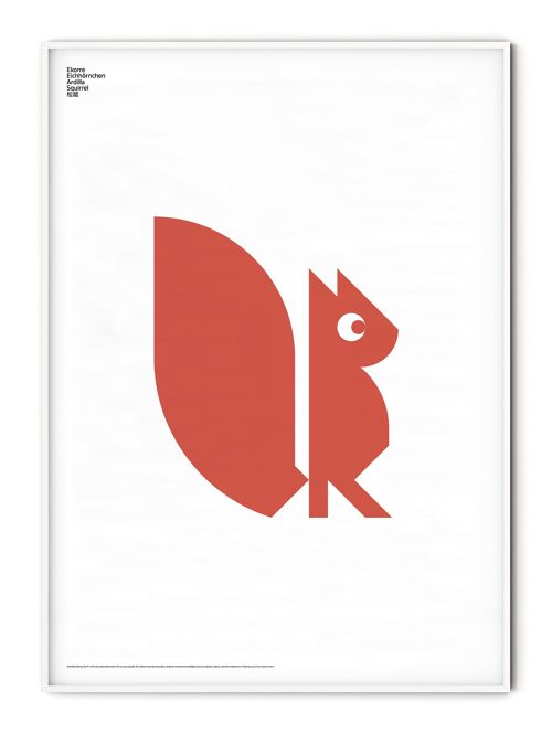 Animal Squirrel Poster - 30x40 cm