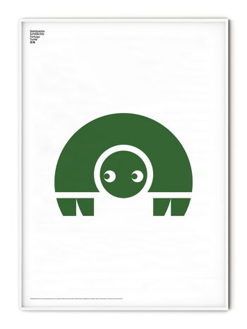 Affiche Tortue Animale - 30x40 cm