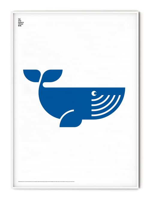 Animal Whale Poster - 30x40 cm