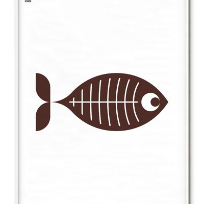 Affiche Poissons Radiographie Animale - 30x40 cm