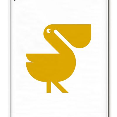 Poster animali pellicano - 21x30 cm