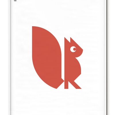 Animal Squirrel Poster - 21x30 cm