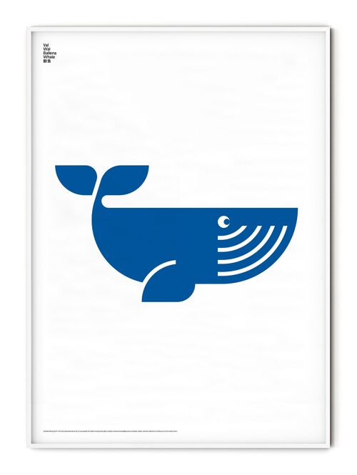Animal Whale Poster - 21x30 cm
