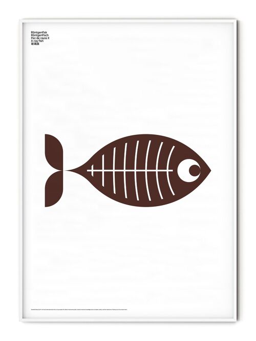 Animal X-Ray Fish Poster - 21x30 cm