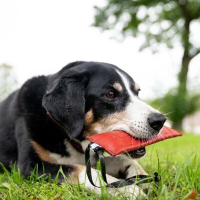 Manguera contra incendios reciclada | muñeco de recuperación | Perros sostenibles