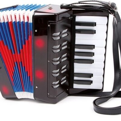 Accordion Classic | musical instrument