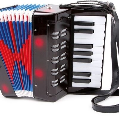 Classique d'accordéon | instrument de musique