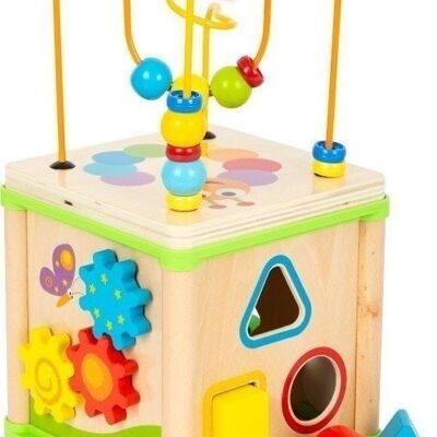 Motor skills cube insects