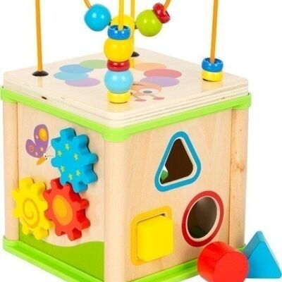 Motor skills cube insects
