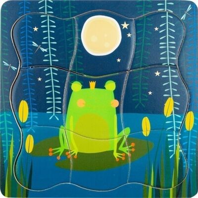 Layer Puzzle Frog Prince