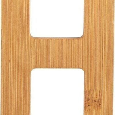 ABC letter bamboo H