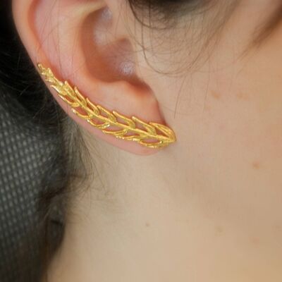 Real arocaria Leaf earrings in sterling silver, Goldplated.