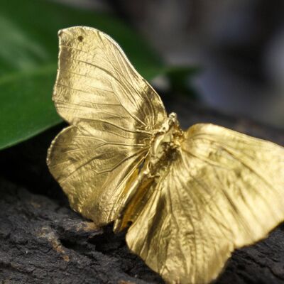 Anello con vera farfalla placcato oro in argento sterling.
