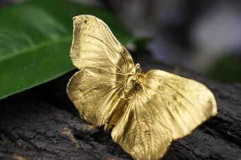 Bague papillon véritable plaquée or en argent sterling. 1