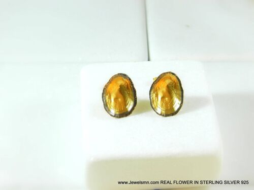 Gold nature earrings Real limpet,Nature themed stud earring