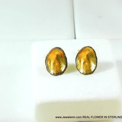 Gold nature earrings Real limpet,Nature themed stud earring