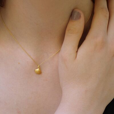 Piccola collana d'oro. Ciondolo vera conchiglia su catena. 14k Gol