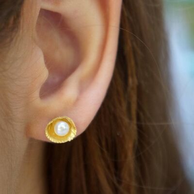 Pearl earrings Summer jewelry. Sea Shell Small pearl Earring