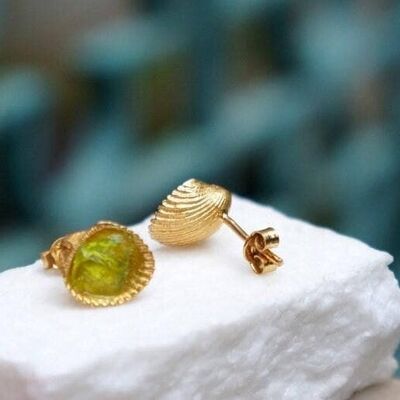 Earrings 14k Gold on silver Real shell stud earrings with