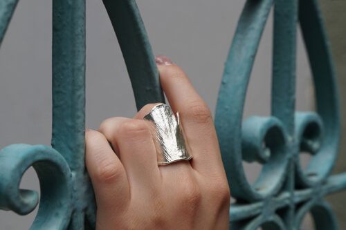 Ginkgo ring, Real leaf in sterling Silver.