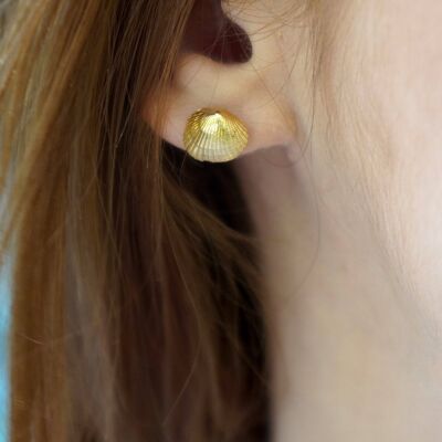 Pendientes de concha de mar, Pendientes de botón pequeños, Pendientes para niñas, S