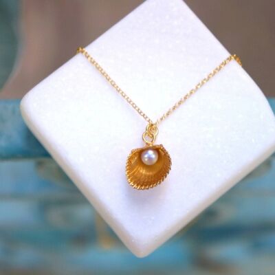 Véritable collier de perles par les bijoux de mère nature, véritable coquillage
