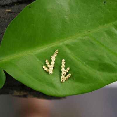 Enebro Pequeños Aretes de Oro Macizo