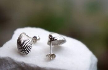 Boucles d'oreilles en coquillage de mer en argent sterling. 2