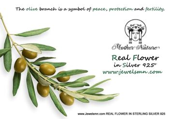 Bague feuille d'olivier, bague branche d'olivier, bagues pour femmes, déclaration 3