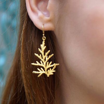 Boucles d'oreilles feuille de cyprès en or massif pour femme, juif en OR naturel