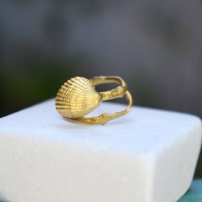 Solid Gold Twig & shell Summer Rings for Women