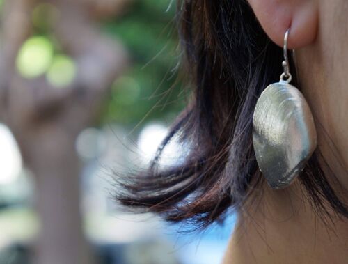 Sea shell, Silver Clam Shell Earrings.