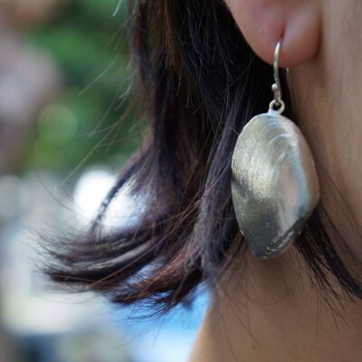 Sea shell, Silver Clam Shell Earrings.