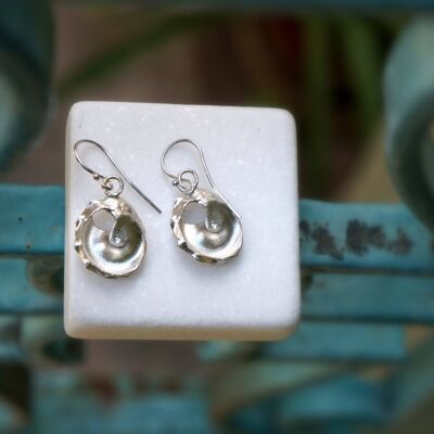 Boucles D'oreilles Petites Boucles D'oreilles Pendantes, Coquillage Argenté