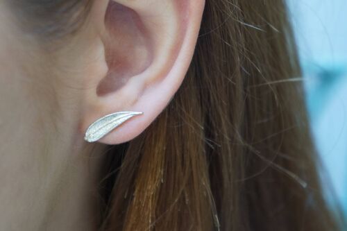 Small stud leaf earrings in sterling silver, Real Olive leaf