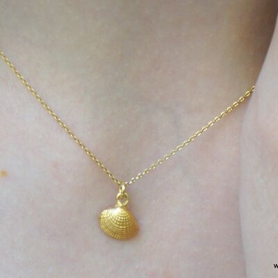 Tiny chain necklace Real Sea Shell 14k Gold on sterling silv