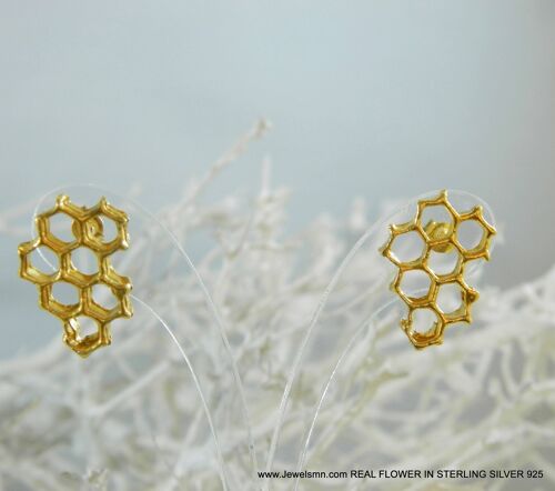 Earrings Real honeycomb shelves. 14k Gold on sterling silver