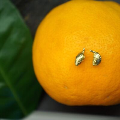 Tiny Olive fruit Earrings for Women, sterling Silver Earrings Goldplated.