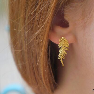 Leaf stud earrings.Real Acacia leaves in Sterling Silver 925 x