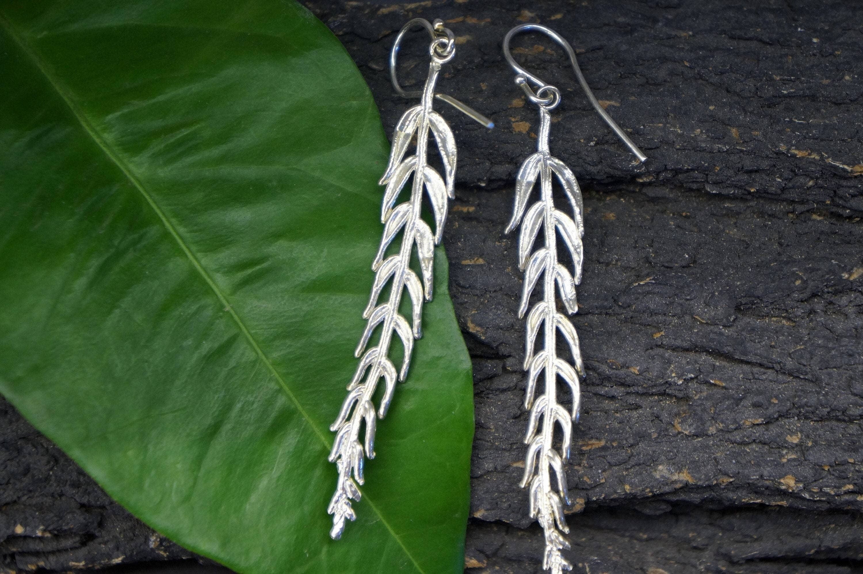 REAL Araucaria Leaf earrings in Sterling Silver, Unusual Lon