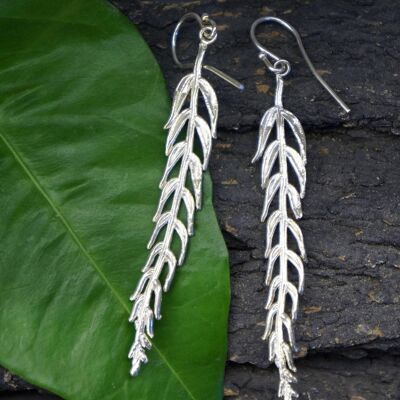 REAL Araucaria Leaf earrings in Sterling Silver, Unusual Lon