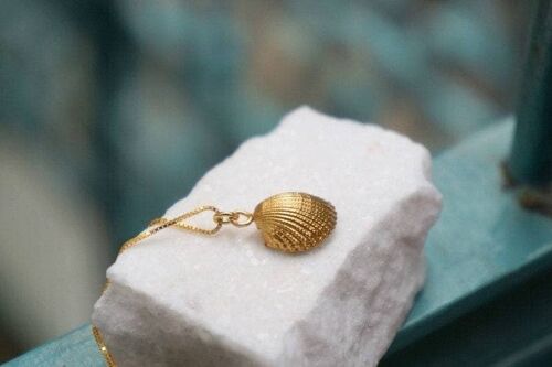 Necklace jewelry in Sterling silver Goldplated. Real Shell w