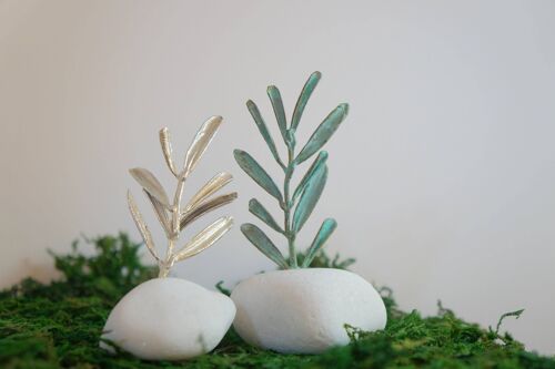 Housewarming or office Decor Gift. Real Olive branch on a se