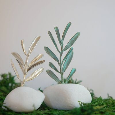 Housewarming or office Decor Gift. Real Olive branch on a se